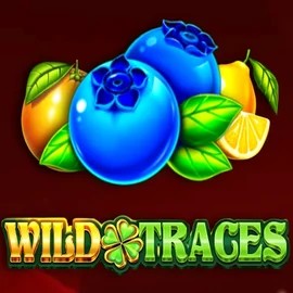 Play Wild Traces slot by Amusnet Interactive on luckysmax.nl